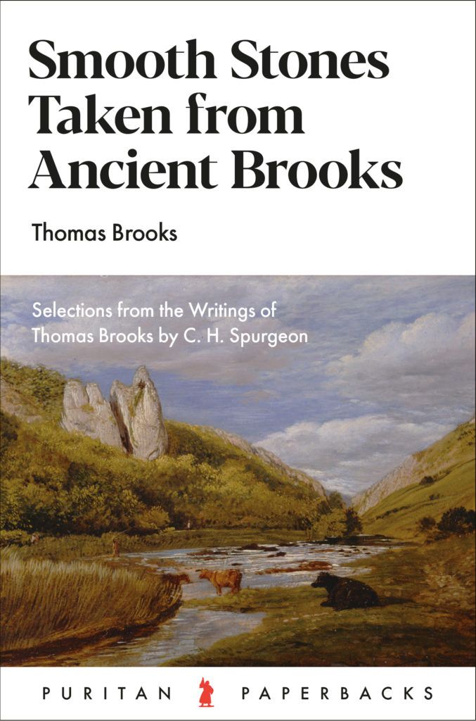 Smooth Stones taken from Ancient Brooks (43)