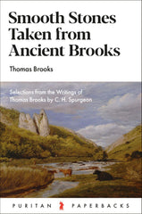 Smooth Stones taken from Ancient Brooks (43)