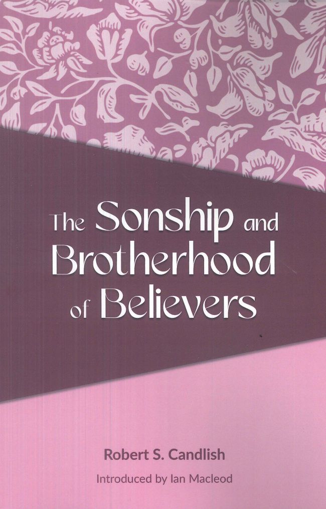 The Sonship and Brotherhood of Believers
