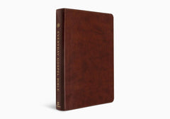 ESV Everyday Gospel Bible: Connecting Scripture to All of Life (TruTone, Chestnut)