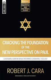 Cracking the Foundation of the New Perspective on Paul (Used Copy)