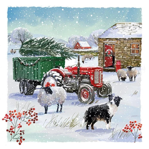 Christmas Sheep Dog