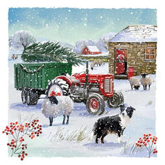 Christmas Sheep Dog