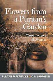 Flowers From a Puritan's Garden (Used Copy)