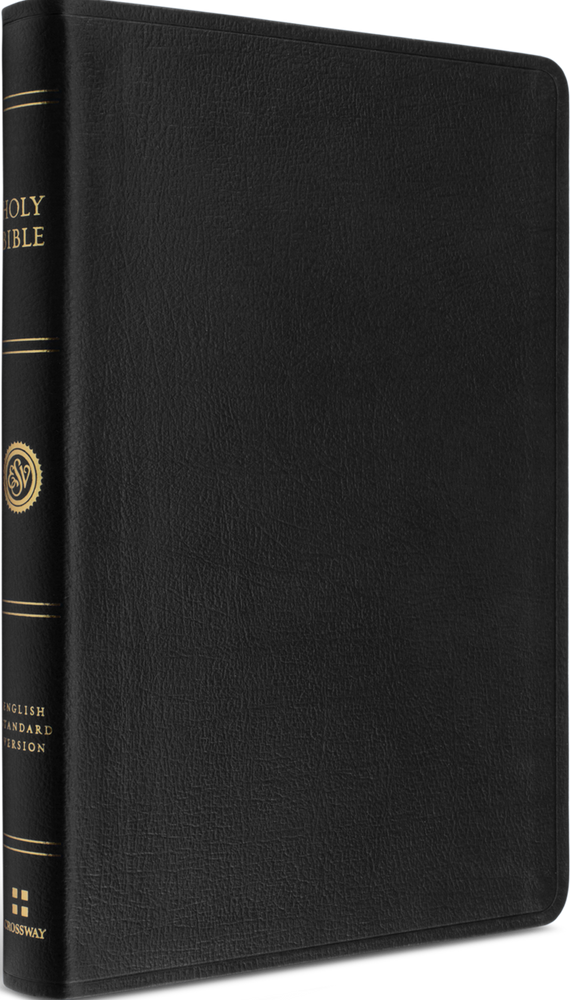ESV Thinline Reference Bible (Large Print) - Genuine Leather, Black
