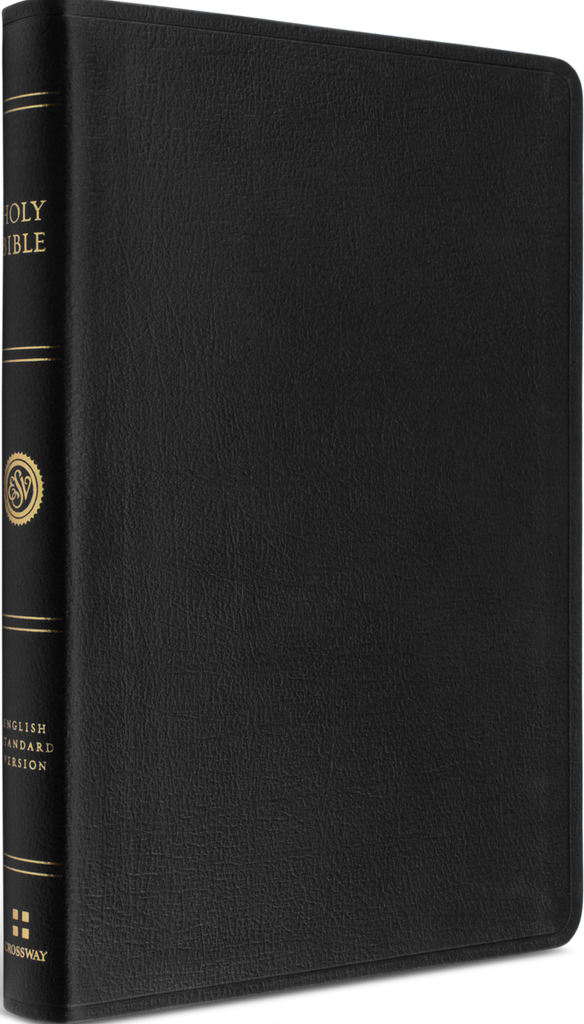 ESV Thinline Reference Bible (Large Print) - Genuine Leather, Black