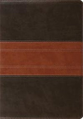 ESV Study Bible  TruTone®, Forest/Tan, Trail Design