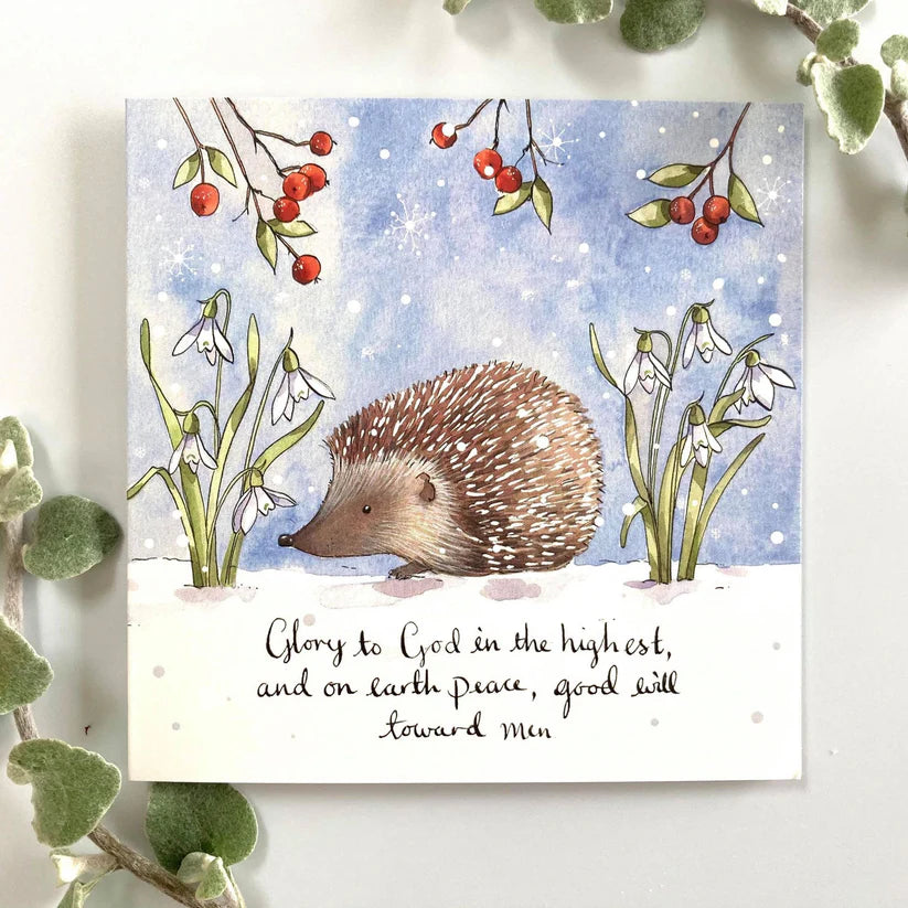 Hedgehog Pack of 5 Christmas Cards
