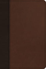 ESV Church History Study Bible