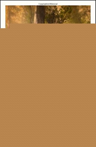 The Root Of The Righteous