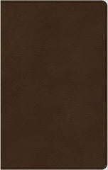 KJV Ultrathin Bible - Brown, Leathersoft
