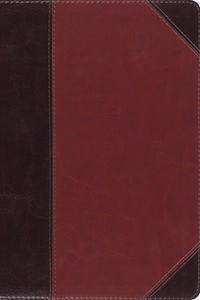 ESV Study Bible, Personal Size  TruTone®, Brown/Cordovan, Portfolio Design