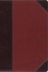 ESV Study Bible, Personal Size  TruTone®, Brown/Cordovan, Portfolio Design