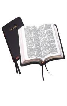 Holy Bible: Royal Ruby: AV: Leather