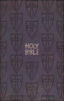 Gift & Award Bible - Boys Edition