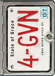 NLT Metal Bible 4-GVN