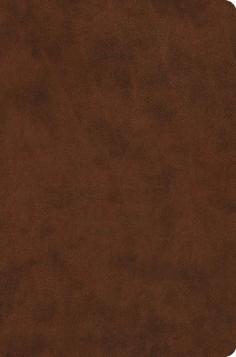 ESV Value Compact Bible - TruTone, Brown