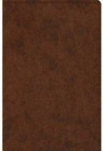 ESV Study Bible Personal Size Trutone Brown