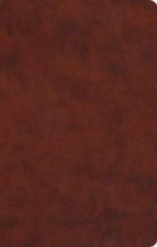 ESV Large Print Value Thinline Bible (Chesnut)