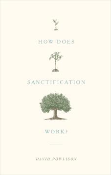 How does Sanctification Work