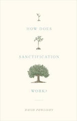 How does Sanctification Work