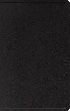 ESV Large Print Wide Margin Bible