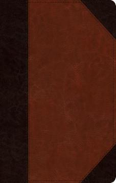 ESV Large Print Wide Margin Bible - TruTone, Brown/Cordovan, Portfolio Design