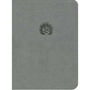 ESV Reformation Study Bible (Light Grey)