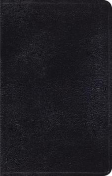 ESV Thinline Bible - Genuine Leather