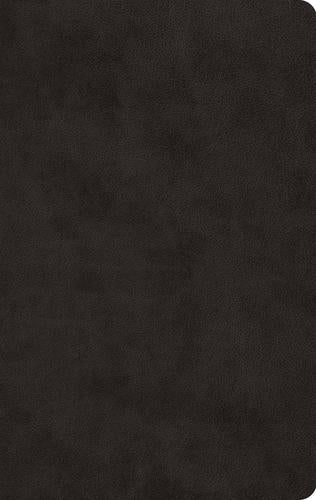 ESV Large Print Value Thinline Bible (Black)