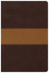 Holman The Disciples Study Bible