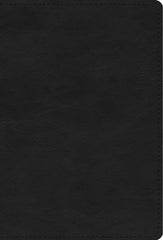 ESV Large Print Compact Bible - TruTone, Black