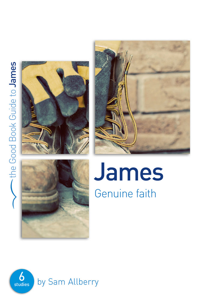 The Good Book Guide to James