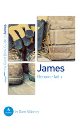 The Good Book Guide to James