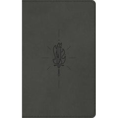 ESV KID'S THINLINE BIBLE (TRUTONE, SWORD OF THE SPIRIT)